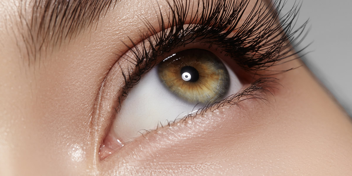 Suppliers of Eye Care products